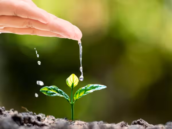 Un regard sur la qualité de l'eau domestique