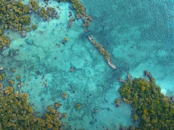 Journée Mondiale de l'Eau 2021